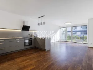 Pronájem bytu 4+kk, Praha - Holešovice, Jankovcova, 116 m2