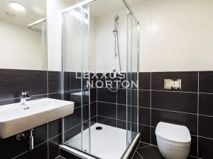 Pronájem bytu 4+kk, Praha - Holešovice, Jankovcova, 116 m2