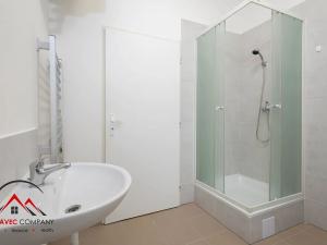Pronájem bytu 1+1, Ostrava, Mariánskohorská, 32 m2
