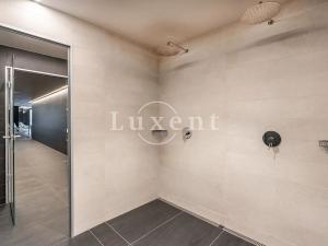 Pronájem bytu 2+kk, Praha - Smíchov, Holečkova, 72 m2
