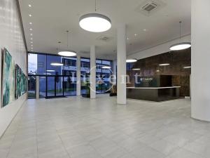 Pronájem kanceláře, Brno, Nové sady, 150 m2