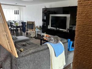 Prodej rodinného domu, Nové Strašecí, 200 m2