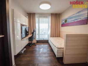 Prodej bytu 4+kk, Brno, Spálená, 129 m2