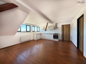 Pronájem bytu 3+kk, Osek, Tovární, 66 m2