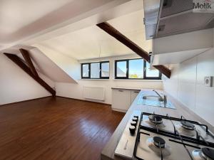 Pronájem bytu 3+kk, Osek, Tovární, 66 m2