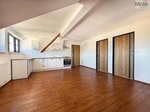 Pronájem bytu 3+kk, Osek, Tovární, 66 m2