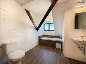 Pronájem bytu 3+kk, Osek, Tovární, 66 m2