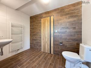 Pronájem bytu 3+kk, Osek, Tovární, 66 m2