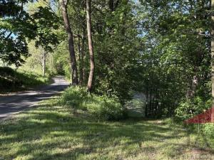 Prodej louky, Sušice, 4420 m2