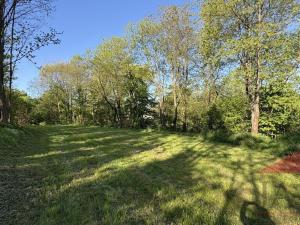 Prodej zahrady, Sušice, 1567 m2