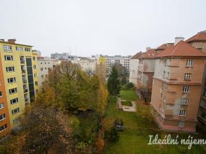 Pronájem bytu 2+kk, Brno - Veveří, Kotlářská, 40 m2