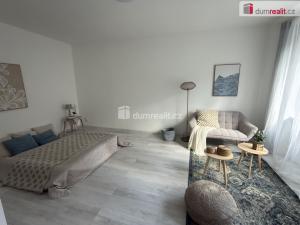 Pronájem bytu 2+kk, Ústí nad Labem - Střekov, Purkyňova, 39 m2