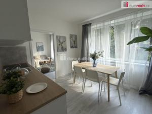 Pronájem bytu 2+kk, Ústí nad Labem - Střekov, Purkyňova, 39 m2