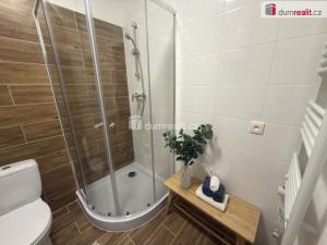 Pronájem bytu 2+kk, Ústí nad Labem - Střekov, Purkyňova, 39 m2
