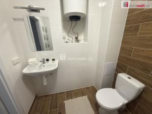 Pronájem bytu 2+kk, Ústí nad Labem - Střekov, Purkyňova, 39 m2