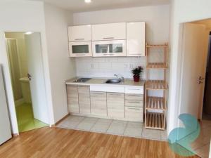 Pronájem bytu 1+kk, České Budějovice, Prašná, 37 m2