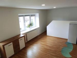 Pronájem bytu 1+kk, České Budějovice, Prašná, 37 m2
