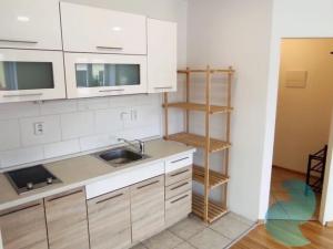 Pronájem bytu 1+kk, České Budějovice, Prašná, 37 m2