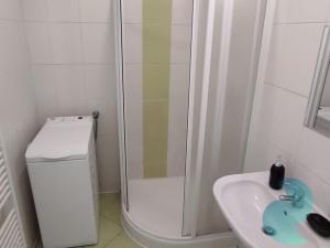 Pronájem bytu 1+kk, České Budějovice, Prašná, 37 m2
