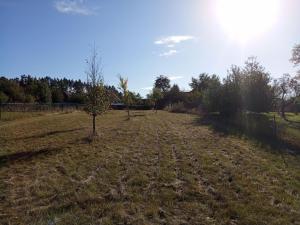 Prodej chalupy, Kamenná - Klementice, 214 m2