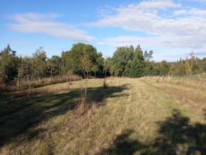 Prodej chalupy, Kamenná - Klementice, 214 m2