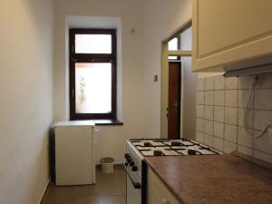 Pronájem bytu 1+1, Brno, Zahradnická, 45 m2