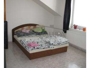 Pronájem bytu 2+1, České Budějovice - České Budějovice 7, Lidická tř., 54 m2
