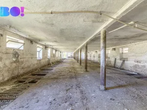 Prodej zemědělského objektu, Horní Kruty, 17219 m2