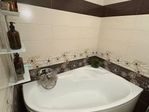 Pronájem bytu 2+1, Meziboří, Hornická, 60 m2