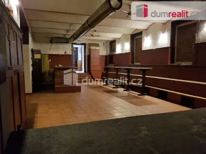 Pronájem komerční nemovitosti, České Budějovice - České Budějovice 6, U Tří lvů, 220 m2