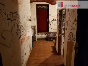 Pronájem komerční nemovitosti, České Budějovice - České Budějovice 6, U Tří lvů, 220 m2