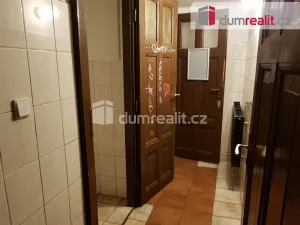 Pronájem komerční nemovitosti, České Budějovice - České Budějovice 6, U Tří lvů, 220 m2