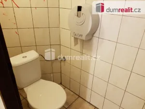 Pronájem komerční nemovitosti, České Budějovice - České Budějovice 6, U Tří lvů, 220 m2