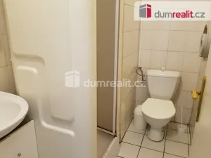 Pronájem komerční nemovitosti, České Budějovice - České Budějovice 6, U Tří lvů, 220 m2