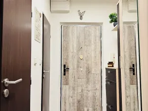 Prodej bytu 3+1, Orlová, Lesní, 56 m2