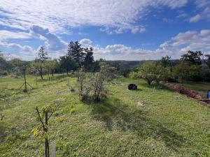 Prodej pozemku pro bydlení, Nebovidy, 2092 m2