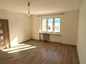 Pronájem bytu 2+kk, Ústí nad Labem, Mlýnská, 54 m2