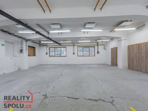 Pronájem obchodního prostoru, Blovice, Americká, 100 m2