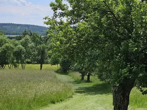 Prodej zemědělské usedlosti, Slabčice, 109 m2