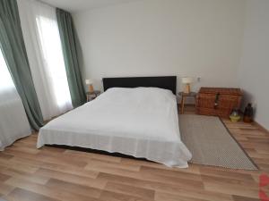 Pronájem bytu 2+1, Teplice, Duchcovská, 53 m2