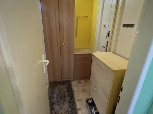 Pronájem bytu 1+1, Brno, Kounicova, 47 m2
