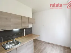 Pronájem bytu 1+1, Chomutov, Cihlářská, 34 m2