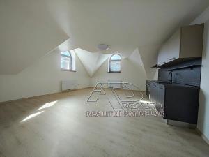 Pronájem bytu 1+1, České Budějovice, Fráni Šrámka, 59 m2