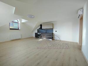 Pronájem bytu 1+1, České Budějovice, Fráni Šrámka, 59 m2