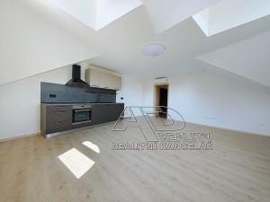 Pronájem bytu 1+1, České Budějovice, Fráni Šrámka, 59 m2