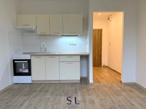 Pronájem bytu 1+1, Jílové, Oblouková, 36 m2