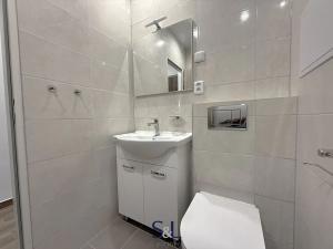 Pronájem bytu 1+1, Jílové, Oblouková, 36 m2