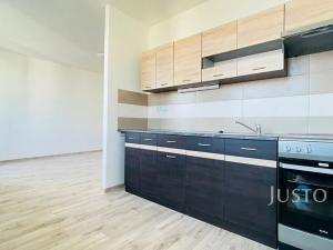 Pronájem bytu 2+1, Teplice, Alejní, 50 m2