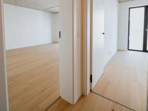 Prodej bytu 2+kk, Brno, Bratislavská, 57 m2