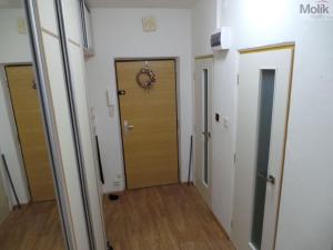 Prodej bytu 2+1, Most, tř. Budovatelů, 54 m2